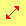 Preview of nesw-resize